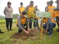 Kominfotik: Peringati Bulan Menanam Nasional, Akses Jalan GORR Mulai Dihijaukan Kembali