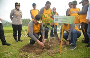 Kominfotik: Peringati Bulan Menanam Nasional, Akses Jalan GORR Mulai Dihijaukan Kembali