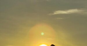 Saat Banyak Kepala Daerah Berpolemik, Sherly Tjoanda Menata Data