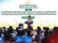 Satu Tahun Prabowo dan Klaim Swasembada Pangan Nasional