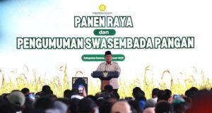 Satu Tahun Prabowo dan Klaim Swasembada Pangan Nasional